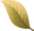 Banner Shape