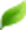 About Images